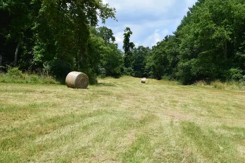 369 Wild Cherry Rd NE, Pilot, VA 24138 photo 73