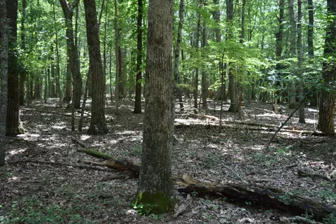 369 Wild Cherry Rd NE, Pilot, VA 24138 photo 79