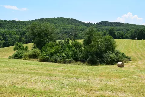 369 Wild Cherry Rd NE, Pilot, VA 24138 photo 70