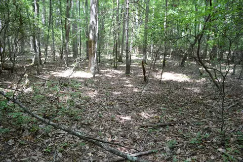 369 Wild Cherry Rd NE, Pilot, VA 24138 photo 99