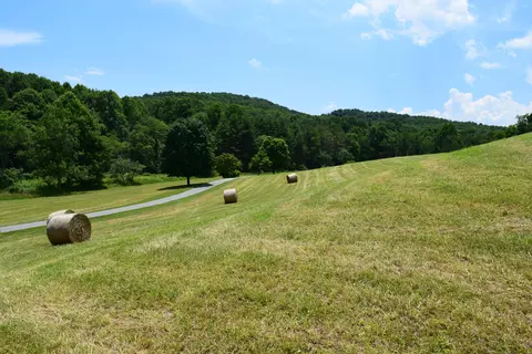 369 Wild Cherry Rd NE, Pilot, VA 24138 photo 63