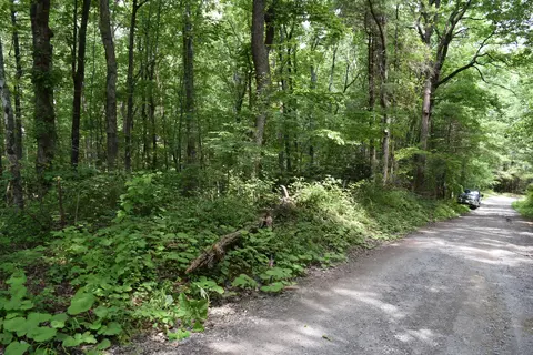 369 Wild Cherry Rd NE, Pilot, VA 24138 photo 102