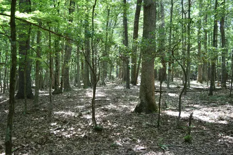 369 Wild Cherry Rd NE, Pilot, VA 24138 photo 80