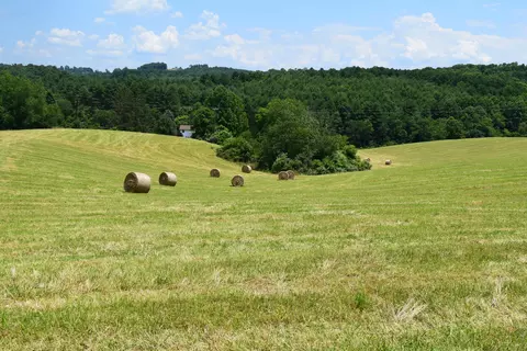 369 Wild Cherry Rd NE, Pilot, VA 24138 photo 72
