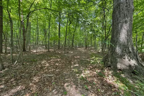 0 Old Tram Rd, Blue Ridge, VA 24064