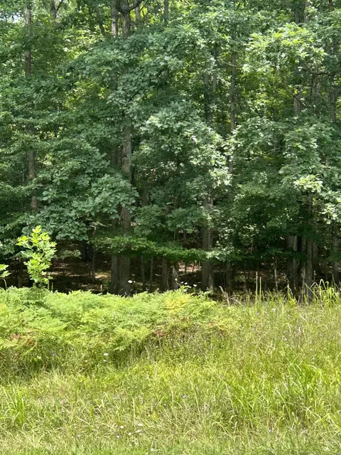 Lot 9 Buck Mountain Rd, Roanoke, VA 24018