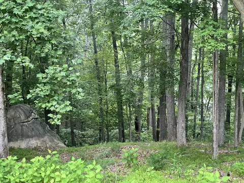115 Bailey Boulevard, Hardy, VA 24101