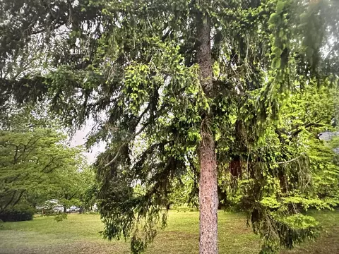 0 Halliahurst Ave, Vinton, VA 24179
