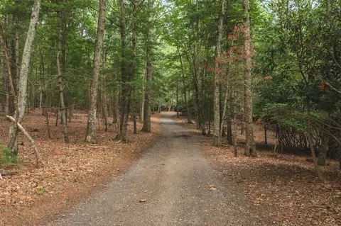 420 Borderline Rd NW, Willis, VA 24380 photo 84