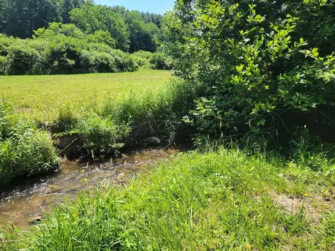 420 Borderline Rd NW, Willis, VA 24380 photo 109