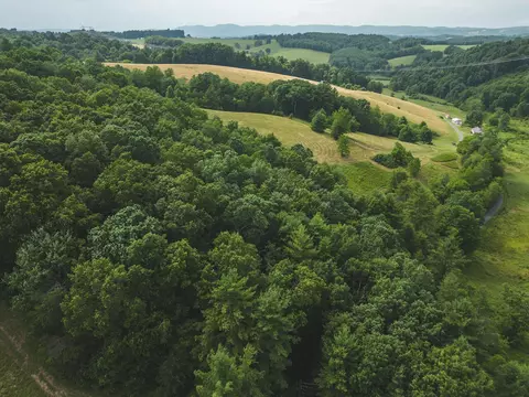420 Borderline Rd NW, Willis, VA 24380 photo 102