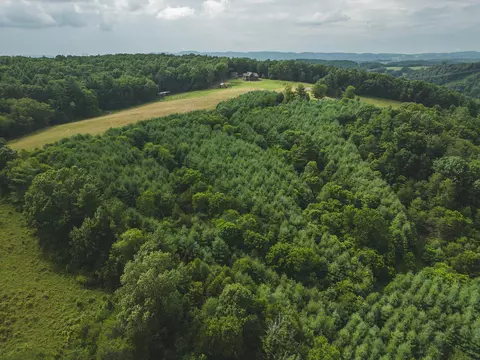 420 Borderline Rd NW, Willis, VA 24380 photo 98