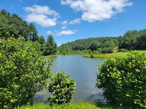 420 Borderline Rd NW, Willis, VA 24380 photo 108