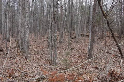 lot31 Gap Bridge Rd, Moneta, VA 24121