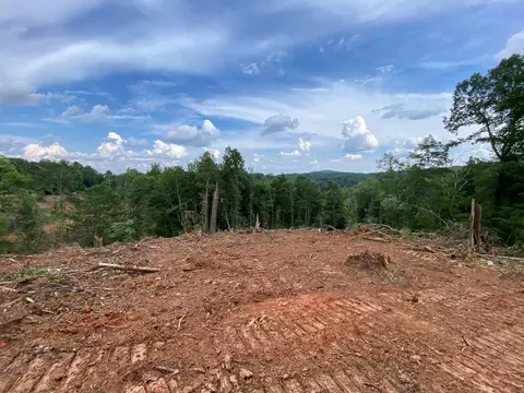 Tract 3 Boones Mill Rd, Boones Mill, VA 24065