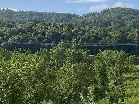0 Rustic Ridge Rd, Riner, VA 24149 photo 21