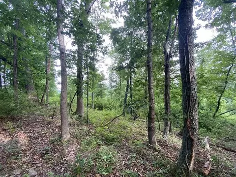 0 Rustic Ridge Rd, Riner, VA 24149 photo 37