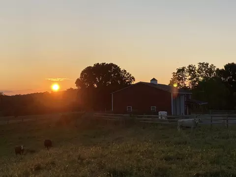 0 Rustic Ridge Rd, Riner, VA 24149 photo 40