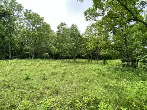 0 Rustic Ridge Rd, Riner, VA 24149 photo 23