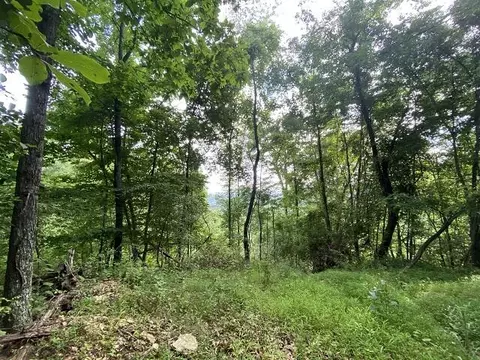 0 Rustic Ridge Rd, Riner, VA 24149 photo 38