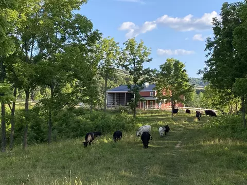 0 Rustic Ridge Rd, Riner, VA 24149 photo 8