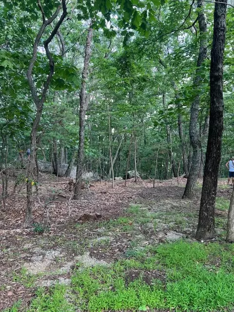 0 Turtleback Path, Hardy, VA 24101 photo 9