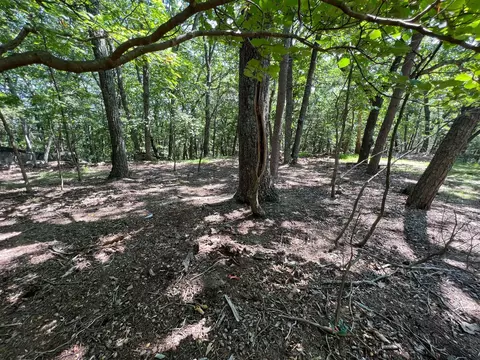 0 Turtleback Path, Hardy, VA 24101 photo 7
