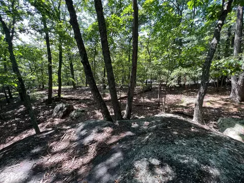 0 Turtleback Path, Hardy, VA 24101 photo 6