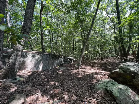 0 Turtleback Path, Hardy, VA 24101 photo 5