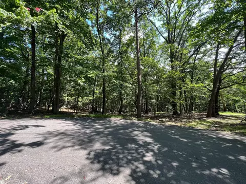 0 Turtleback Path, Hardy, VA 24101 photo 3