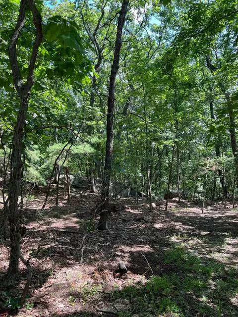 0 Turtleback Path, Hardy, VA 24101 photo 4