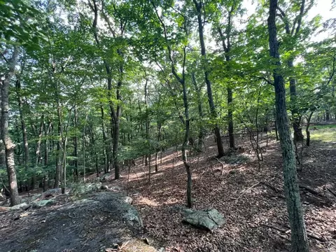 0 Turtleback Path, Hardy, VA 24101 photo 10