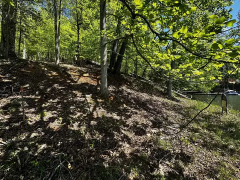 Lot 2b Silver Fox Run, Goodview, VA 24095 photo 20