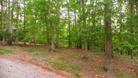 Lot 2b Silver Fox Run, Goodview, VA 24095 photo 74