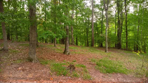 Lot 2b Silver Fox Run, Goodview, VA 24095 photo 75