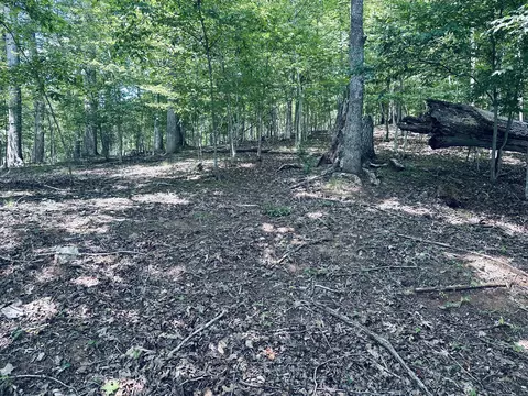 Lot 2b Silver Fox Run, Goodview, VA 24095 photo 26