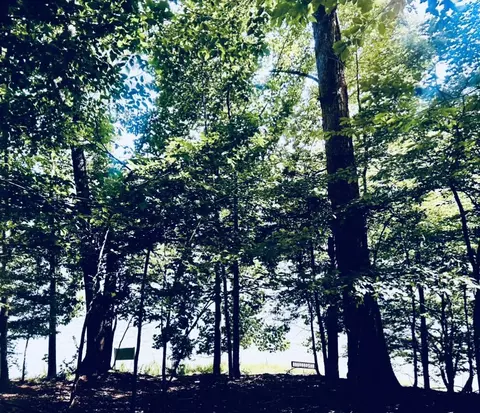 Lot 2b Silver Fox Run, Goodview, VA 24095 photo 25