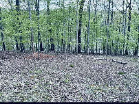 Lot 2b Silver Fox Run, Goodview, VA 24095 photo 22