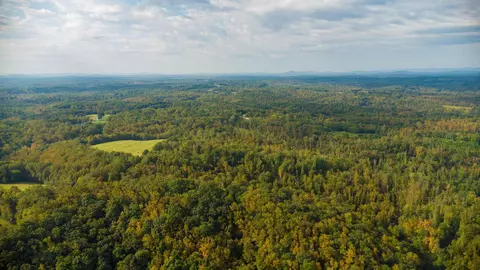 Lot 2b Silver Fox Run, Goodview, VA 24095 photo 34