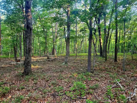 2761 Jasmine Rd, Sandy Level, VA 24161 photo 22