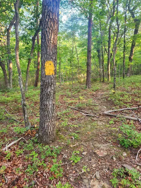 2761 Jasmine Rd, Sandy Level, VA 24161 photo 23