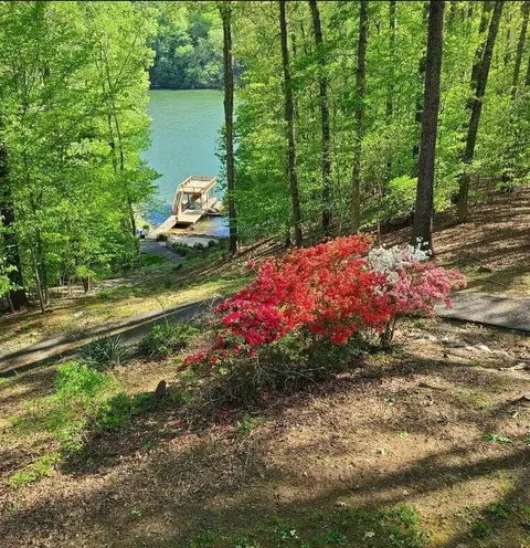 1851 Morris Rd, Goodview, VA 24095 photo 51