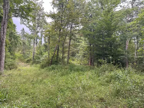 0 Claytor Rd NE, Pilot, VA 24138 photo 8