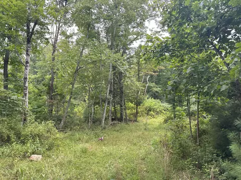 0 Claytor Rd NE, Pilot, VA 24138 photo 10