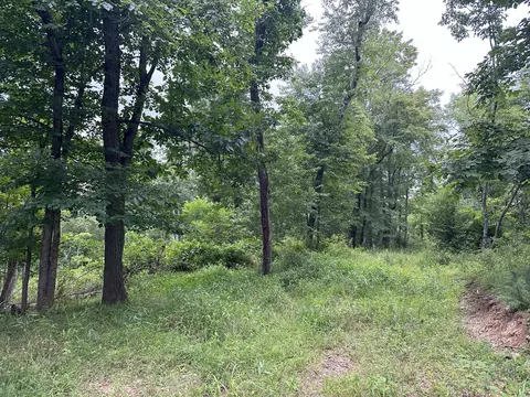 0 Claytor Rd NE, Pilot, VA 24138 photo 11