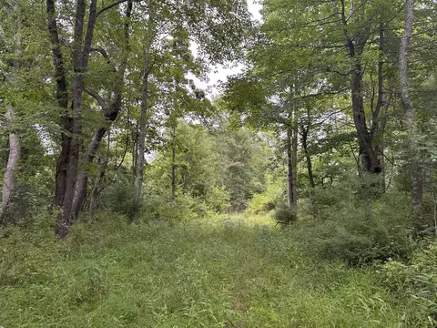 0 Claytor Rd NE, Pilot, VA 24138 photo 6