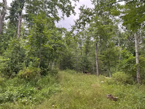0 Claytor Rd NE, Pilot, VA 24138 photo 7