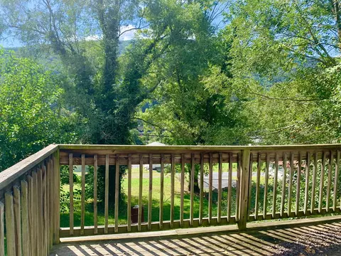 53 Alleghany St, Clifton Forge, VA 24422 photo 3