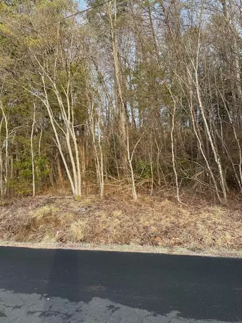 lot14 Anderson St, Rocky Mount, VA 24151