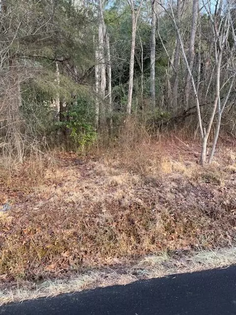 lot15 Anderson St, Rocky Mount, VA 24151